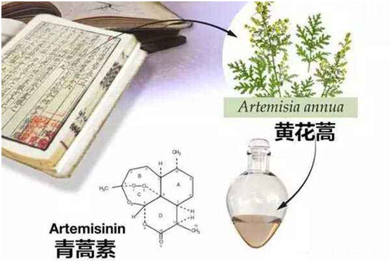 qianyi千亿平台（中国）集团,：向中医药看齐，与世界共享中医药文化(图1)